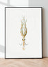 modern black framed vintage squid print wall art